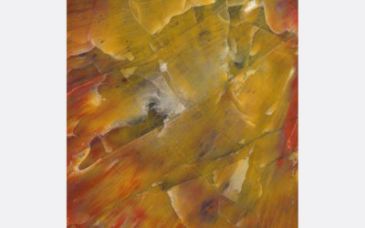 Mostly Modular Album “Fields” Out Now